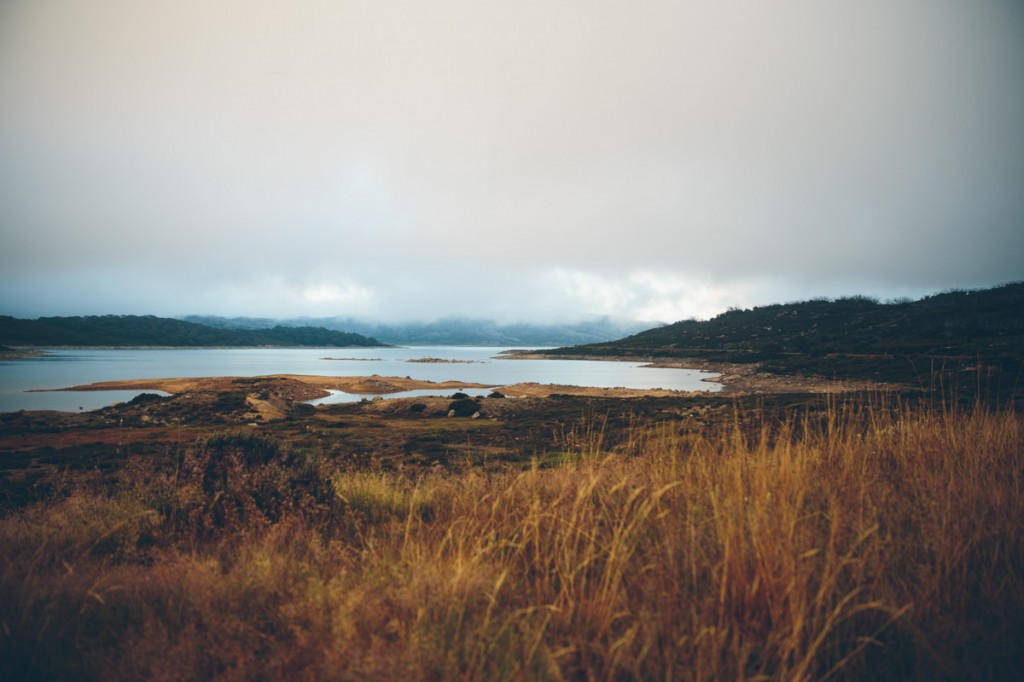 fallscreek14-20