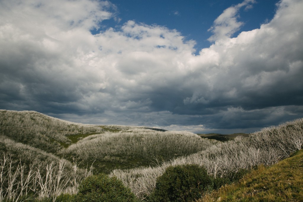 fallscreek14-207