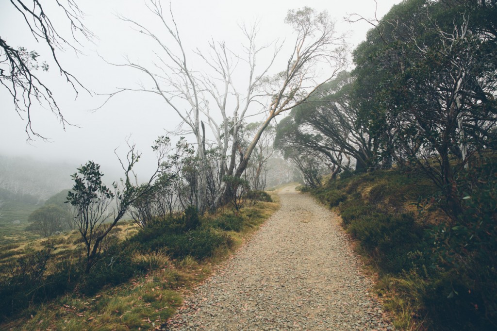 fallscreek14-50