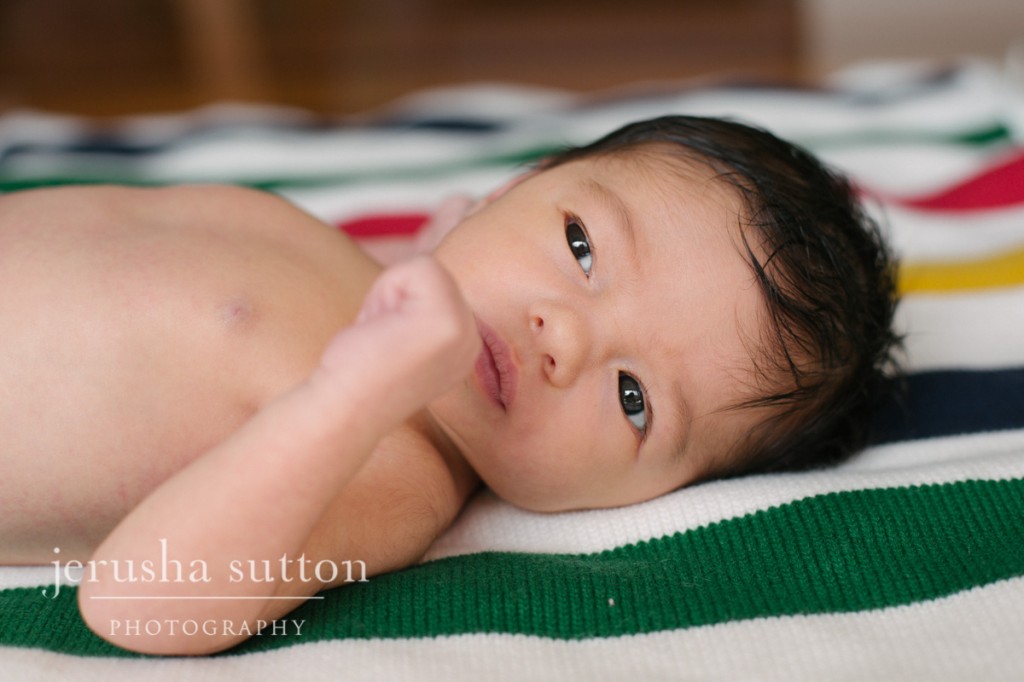 Sydney newborn photography Jerusha Sutton Photography www.jerusha.com.au